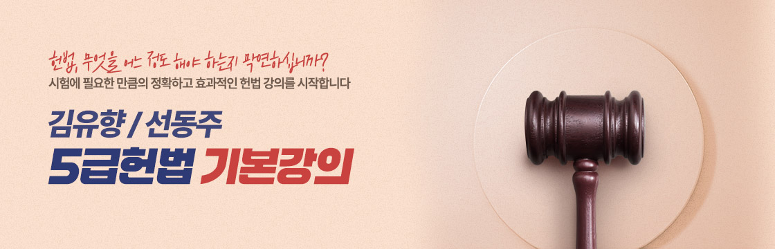 27 헌법 기본강의