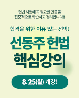선동주 핵심