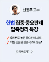 선동주 헌법집중 중요판례 압축정리 특강